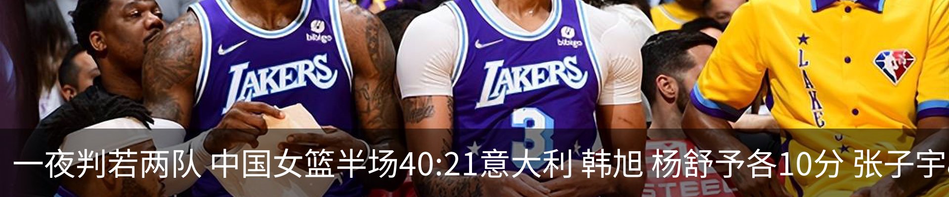 最新动态