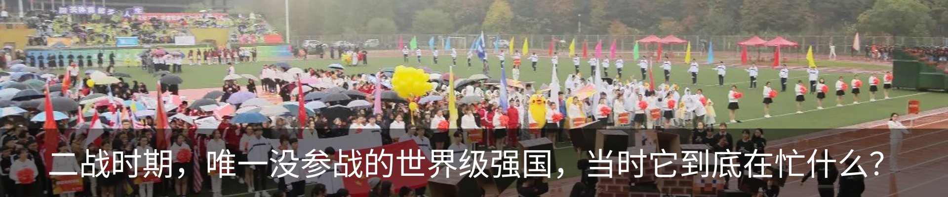 最新动态