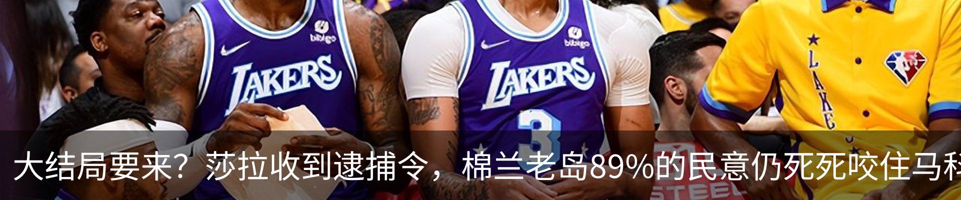 最新动态