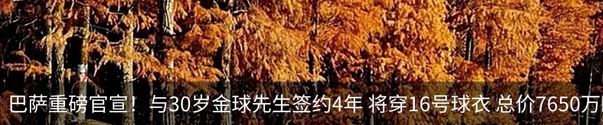 最新动态