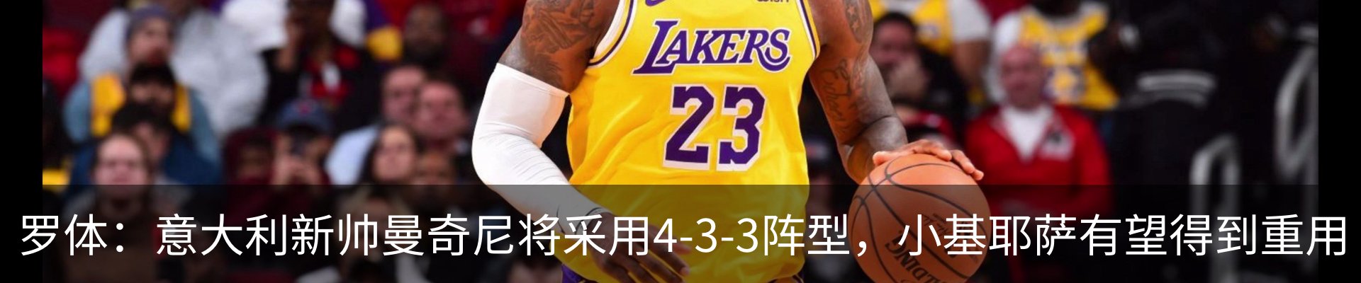 最新动态