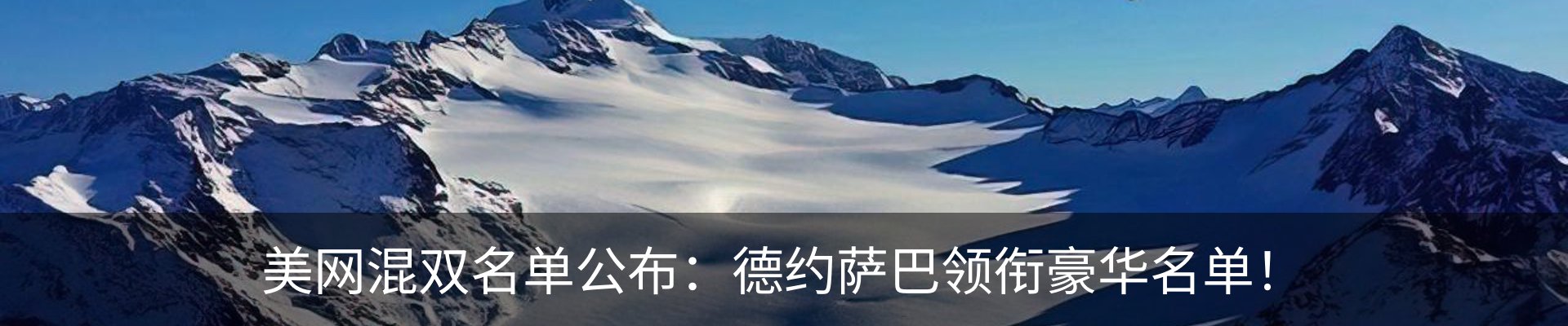 最新动态