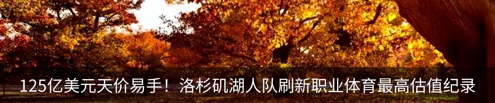 最新动态
