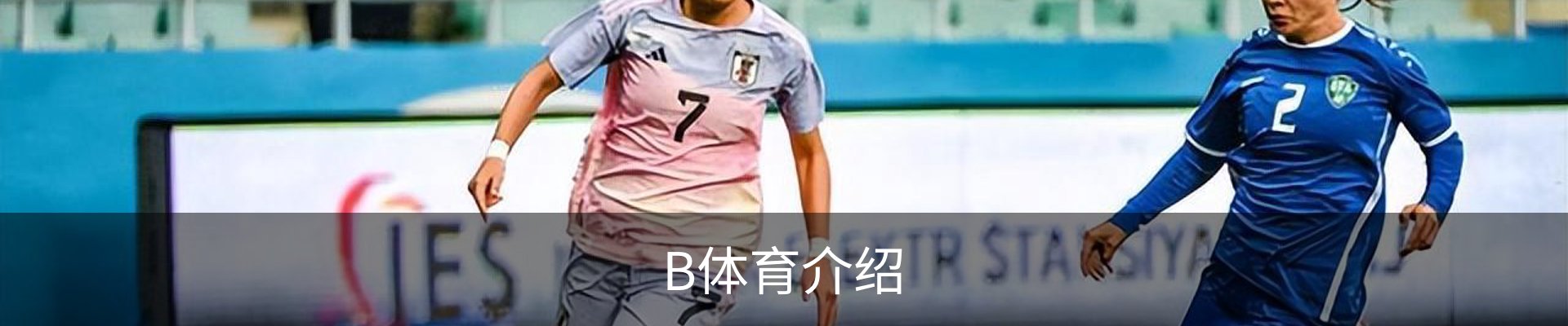 B体育介绍